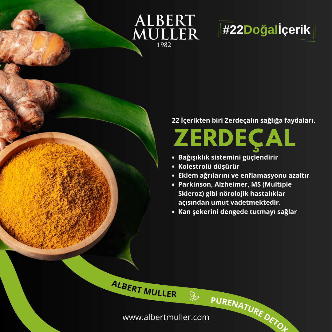 Zerdeçal Hakkında Her Şey: Faydaları, Kullanımı