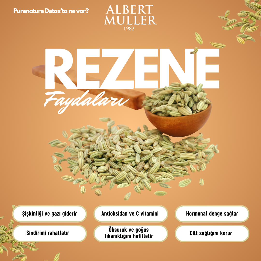 Rezene (Fennel): Faydaları, Besin Değerleri ve Kullanım İpuçları