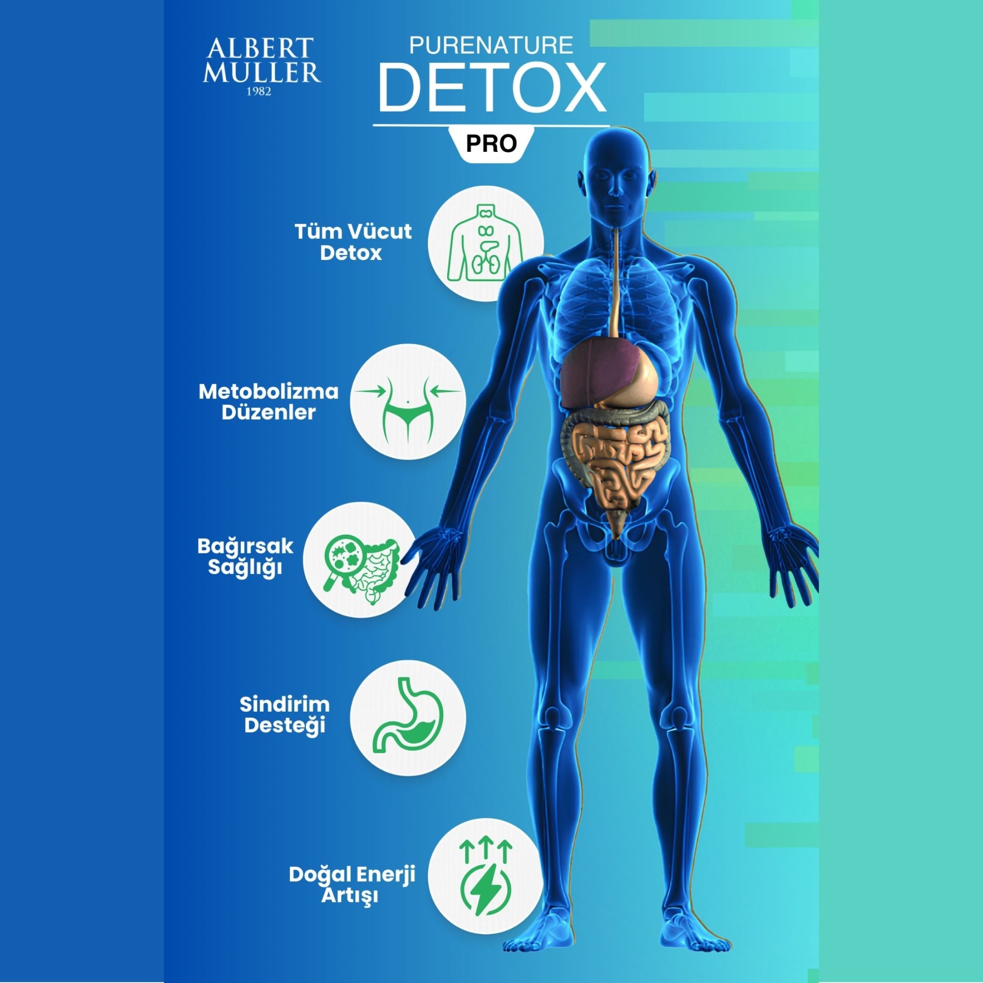 PURENATURE DETOX PRO
