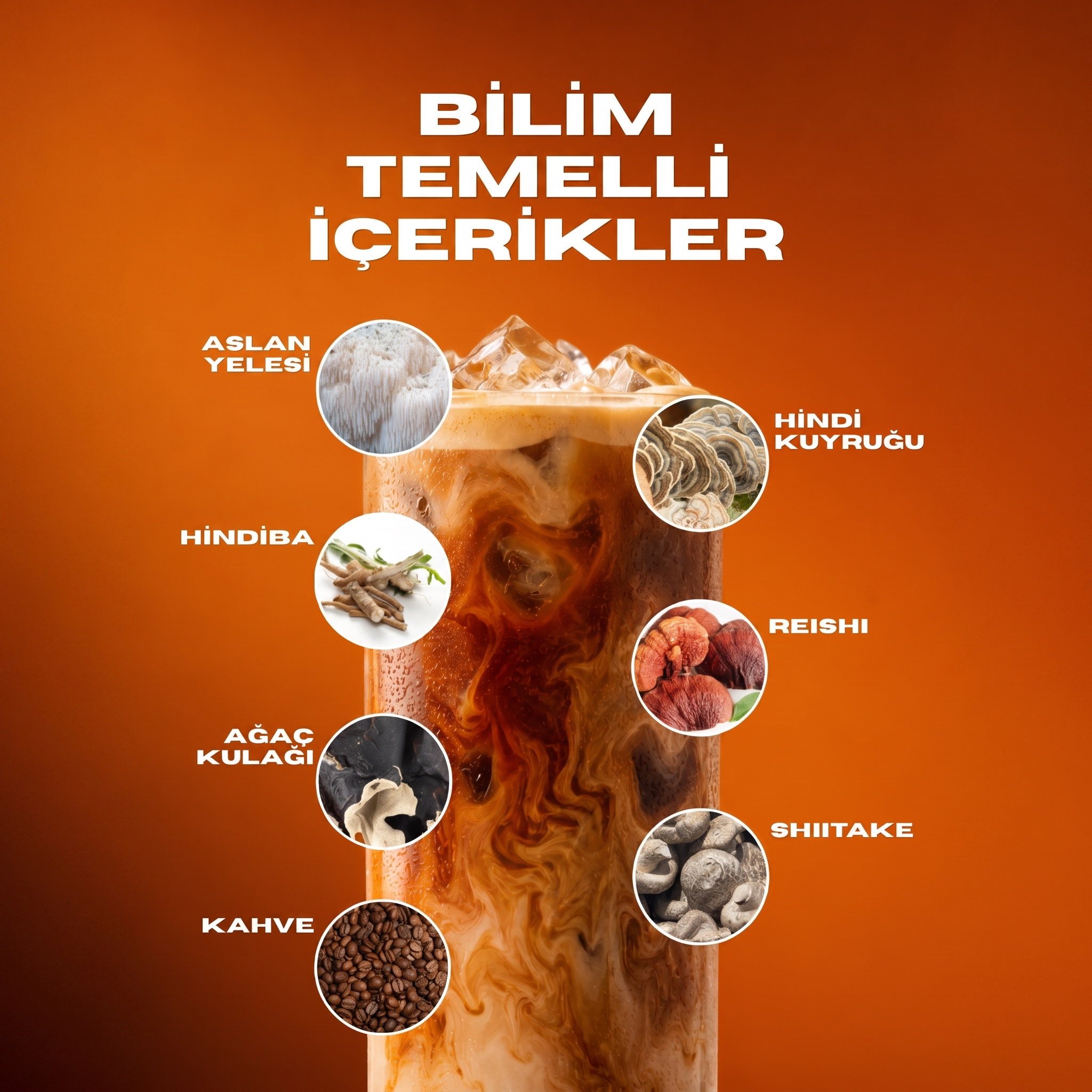 Reformer Mushroom Coffee kare ürün görseli 3